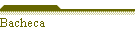 Bacheca