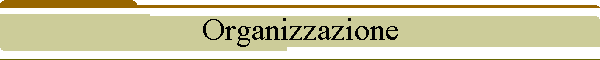 Organizzazione