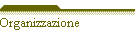 Organizzazione