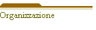 Organizzazione