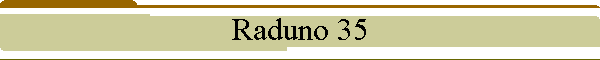 Raduno 35