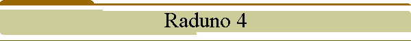 Raduno 4